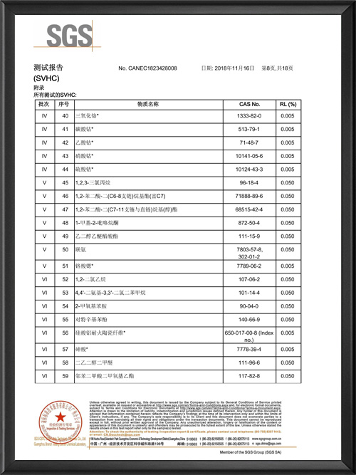 CP18-061031-GZ测试报告