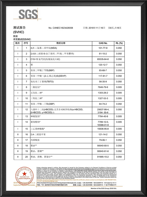 CP18-061031-GZ测试报告