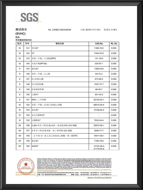 CP18-061031-GZ测试报告